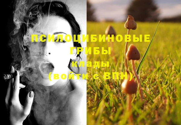 метамфетамин Армянск