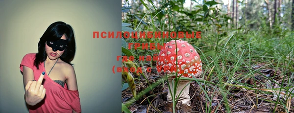 гидропоника Аркадак
